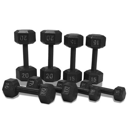 Transform Your Home Gym with the Ultimate 100 lb Cast Iron Hex Dumbbell Weight Set and Rack